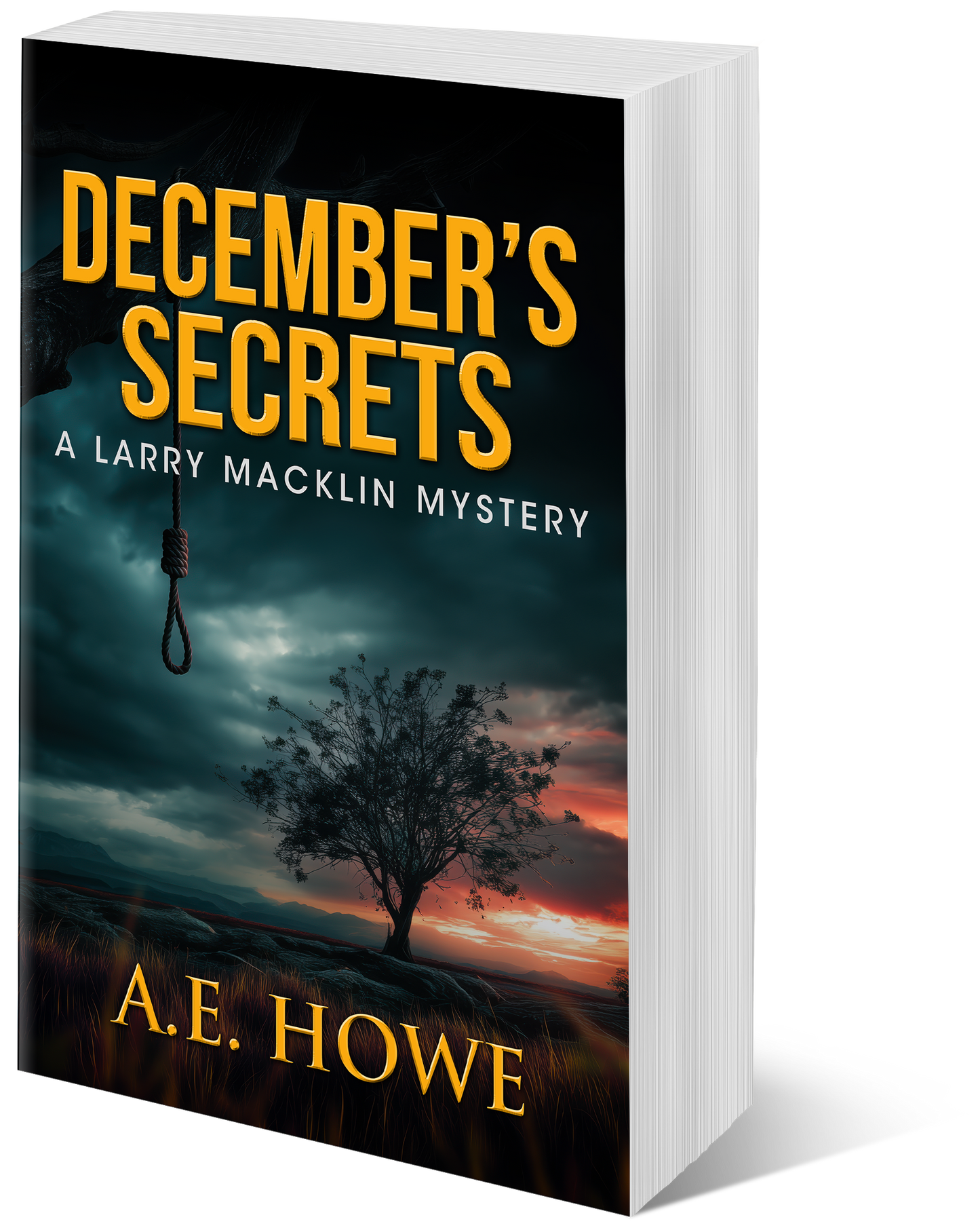 December's Secrets - Larry Macklin Book 2 (paperback)