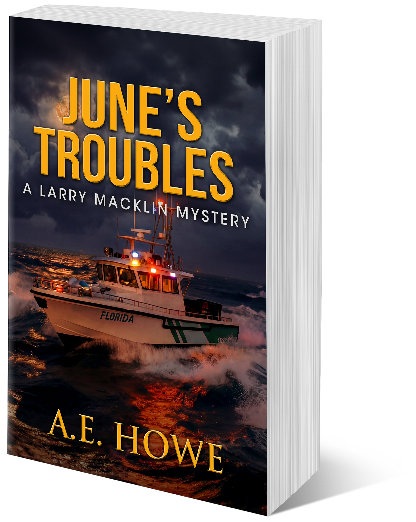 June's Troubles - Larry Macklin Book 8 (paperback)